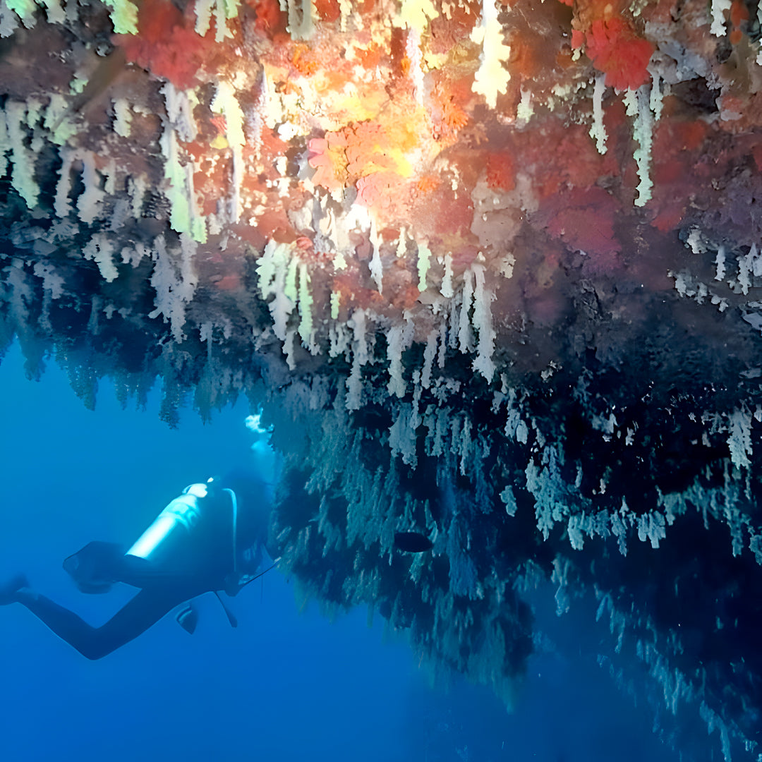 10-Night Maldives Dive Adventure