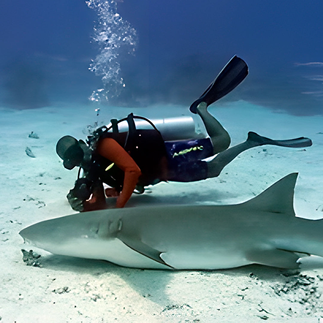 Maldives Open Water Diver Course and Stay