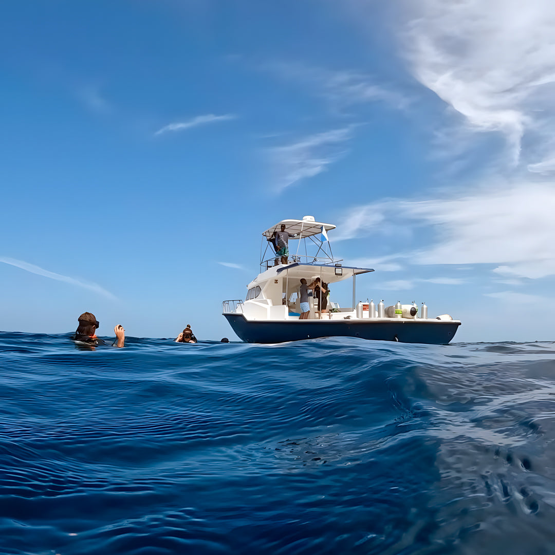 Ultimate Maldives Dive Expedition