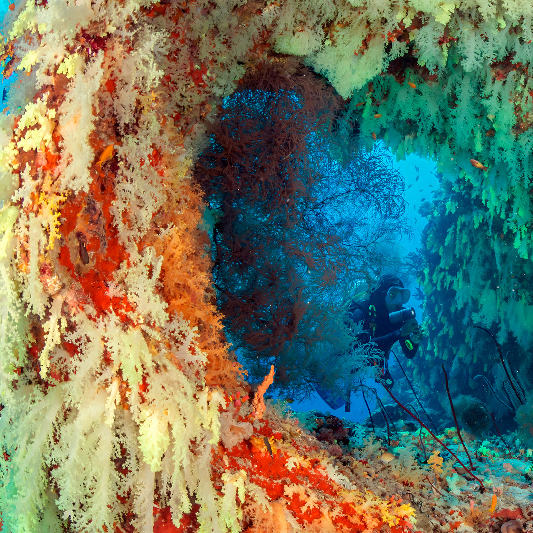 Maldives Open Water Diver Course and Stay