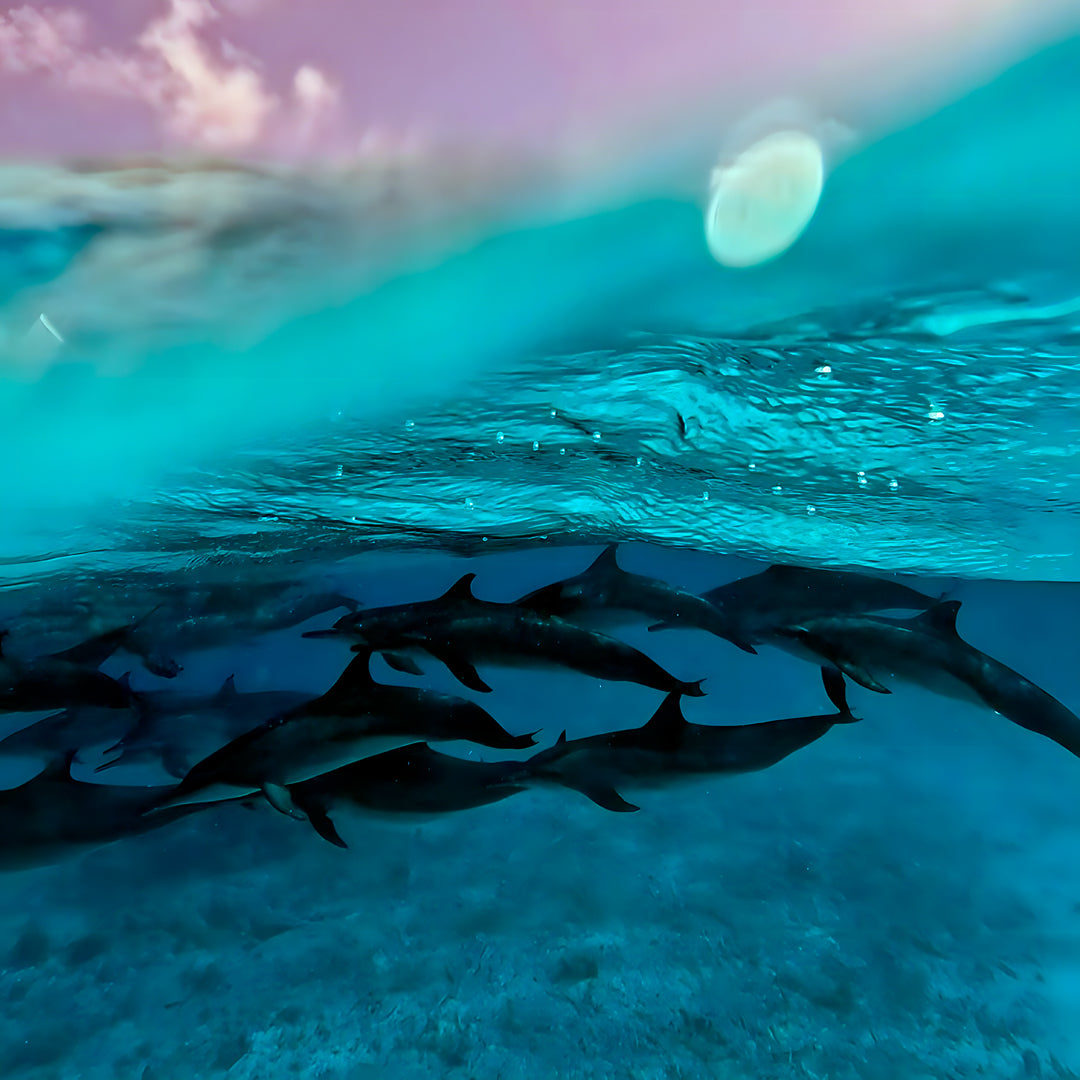 Maldives Open Water Diver Course and Stay