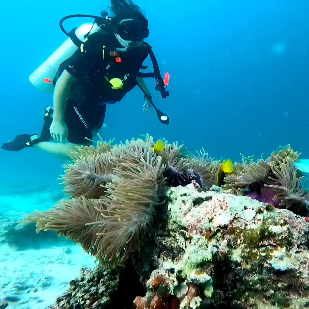 Maldives Open Water Diver Course and Stay