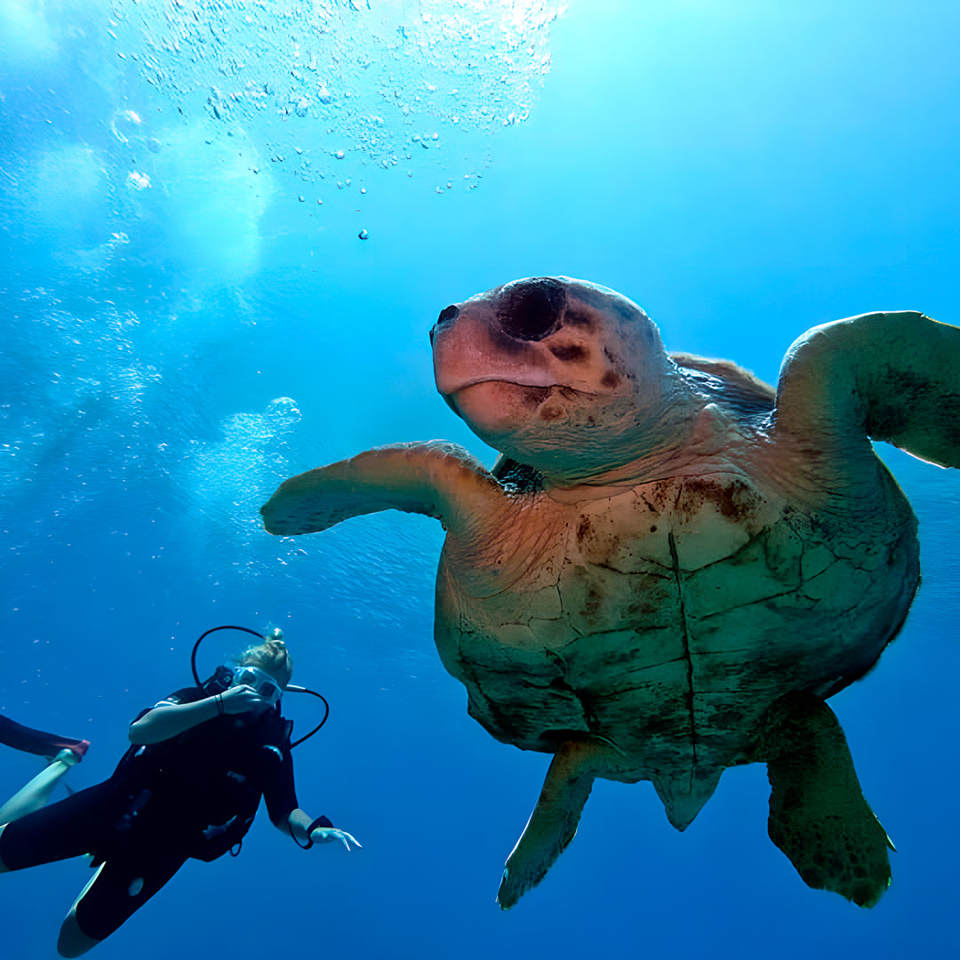 Discover Scuba Diving in Zakynthos