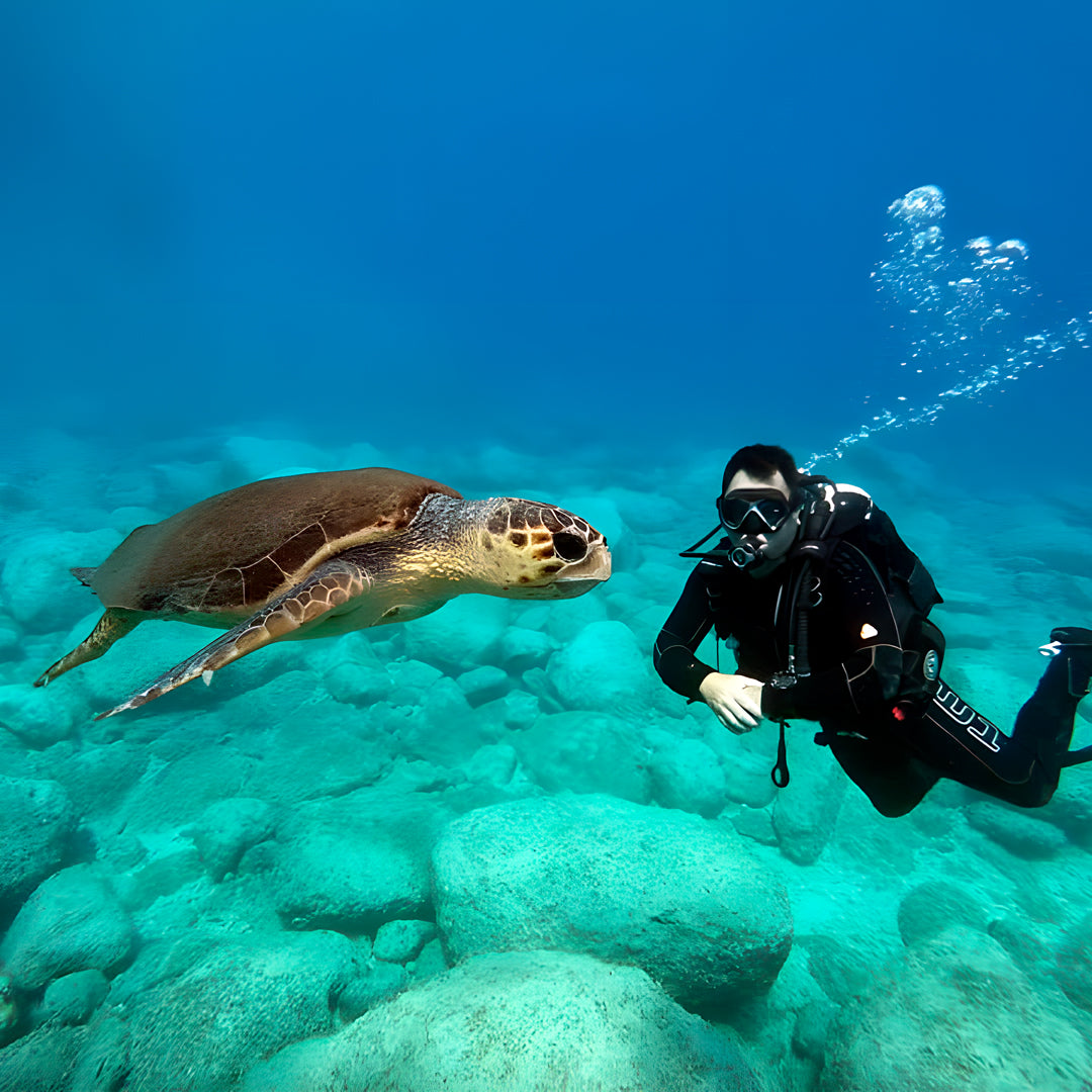 PADI Advanced Open Water Diver Course in Zakynthos