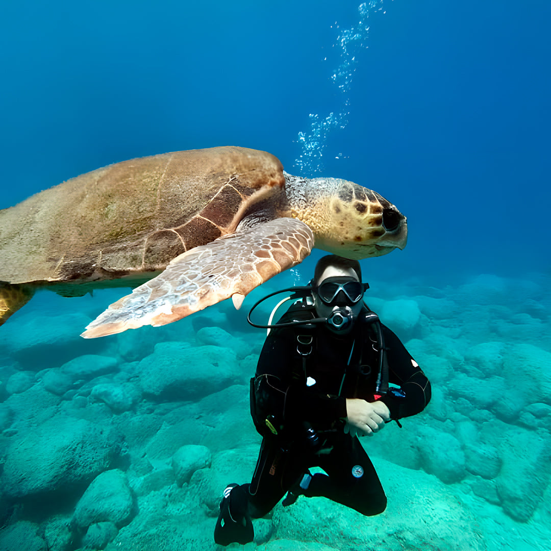 Zakynthos Escorted Fun Dive