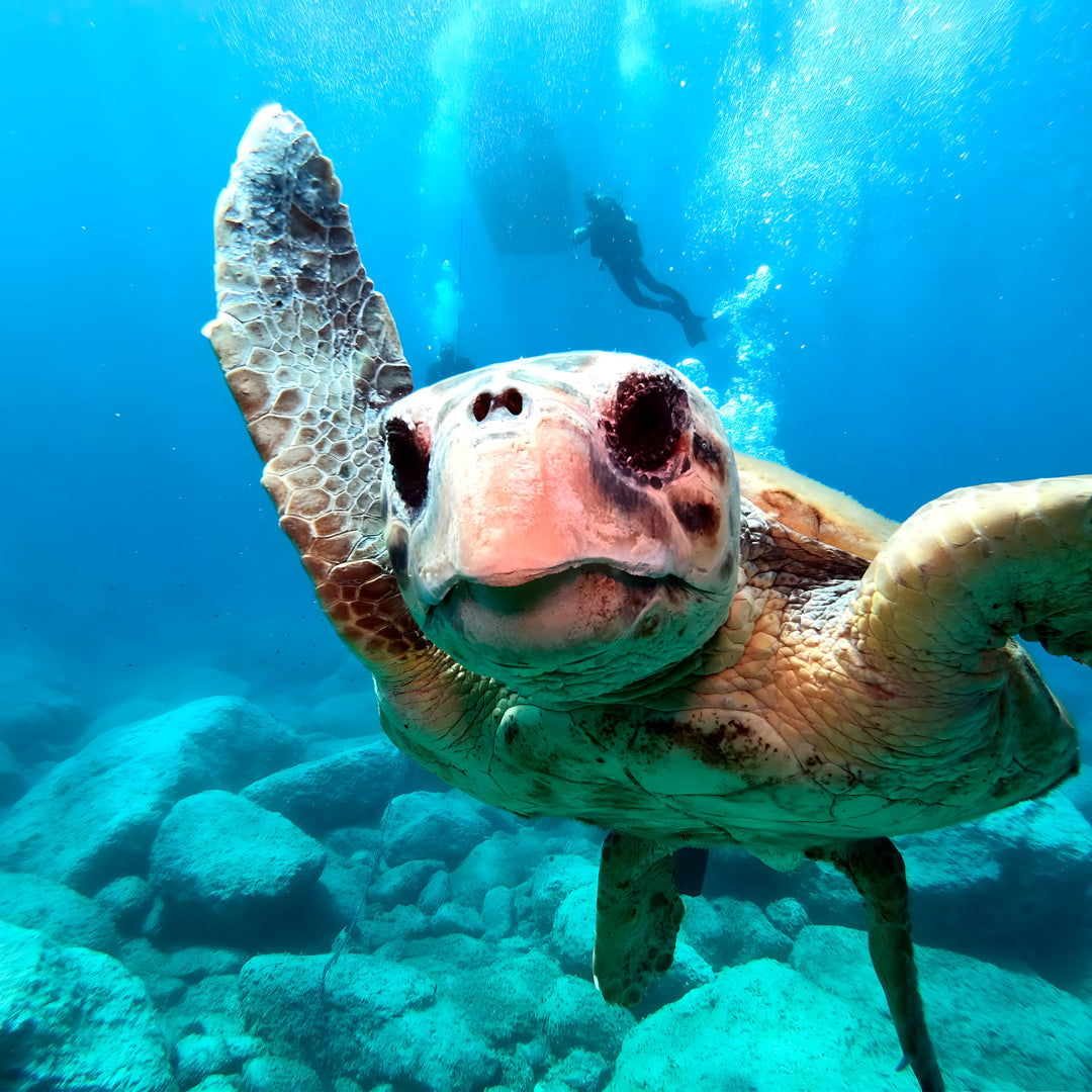 PADI Advanced Open Water Diver Course in Zakynthos