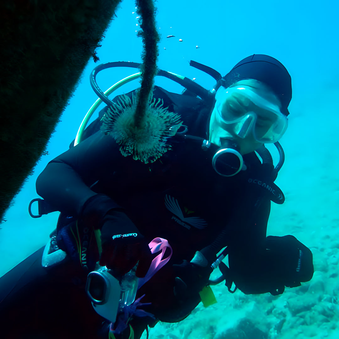 Curso de Divemaster