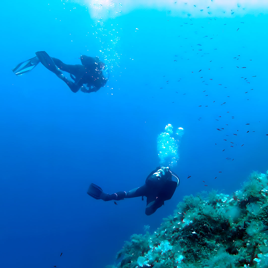 Curso de Divemaster