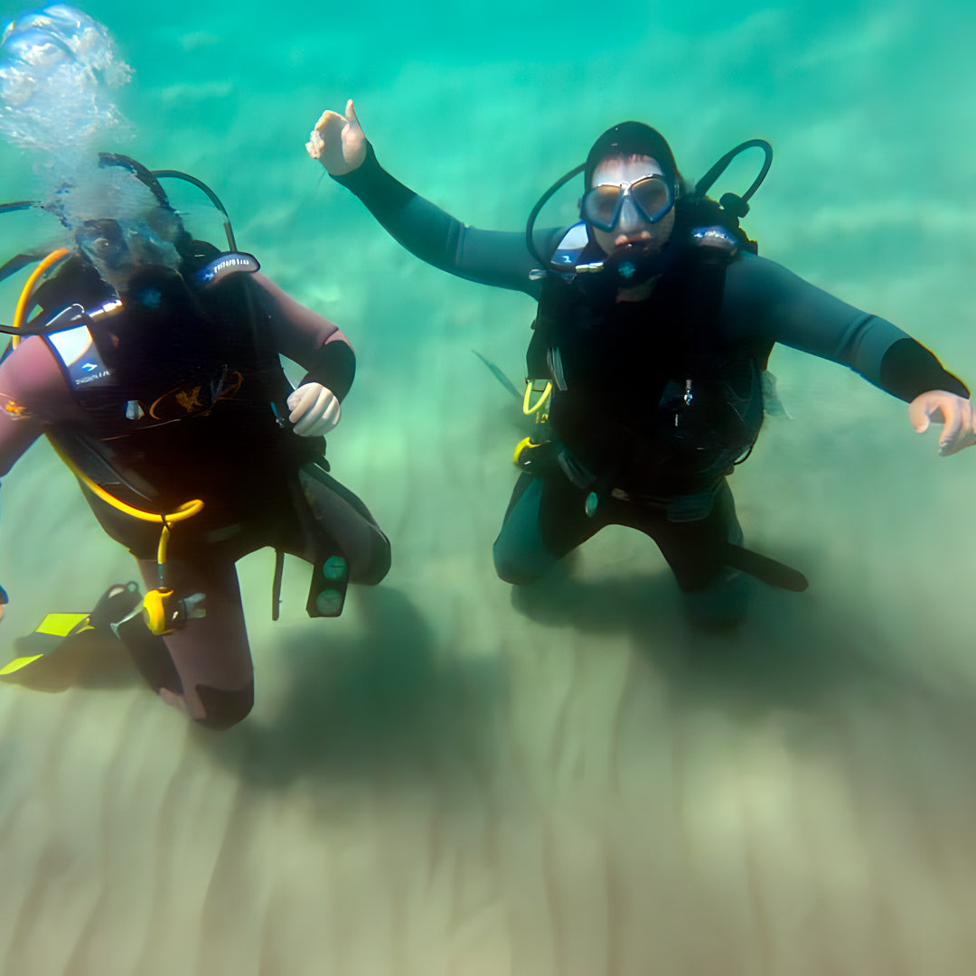 Curso de Divemaster