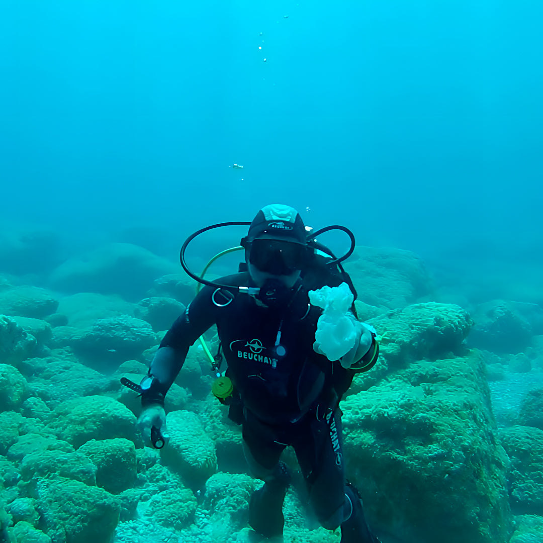 Zakynthos Escorted Fun Dive