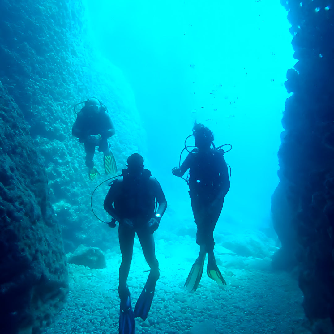 Curso de Divemaster