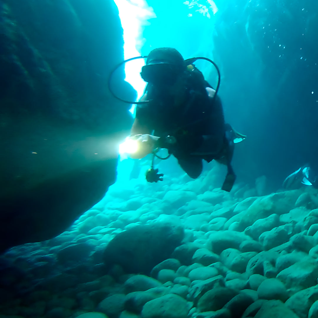 Curso de Divemaster