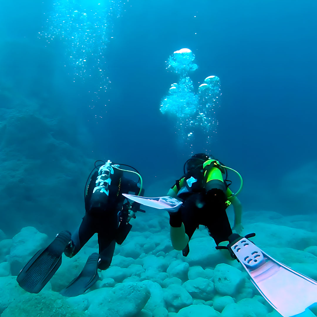 Zakynthos Escorted Fun Dive