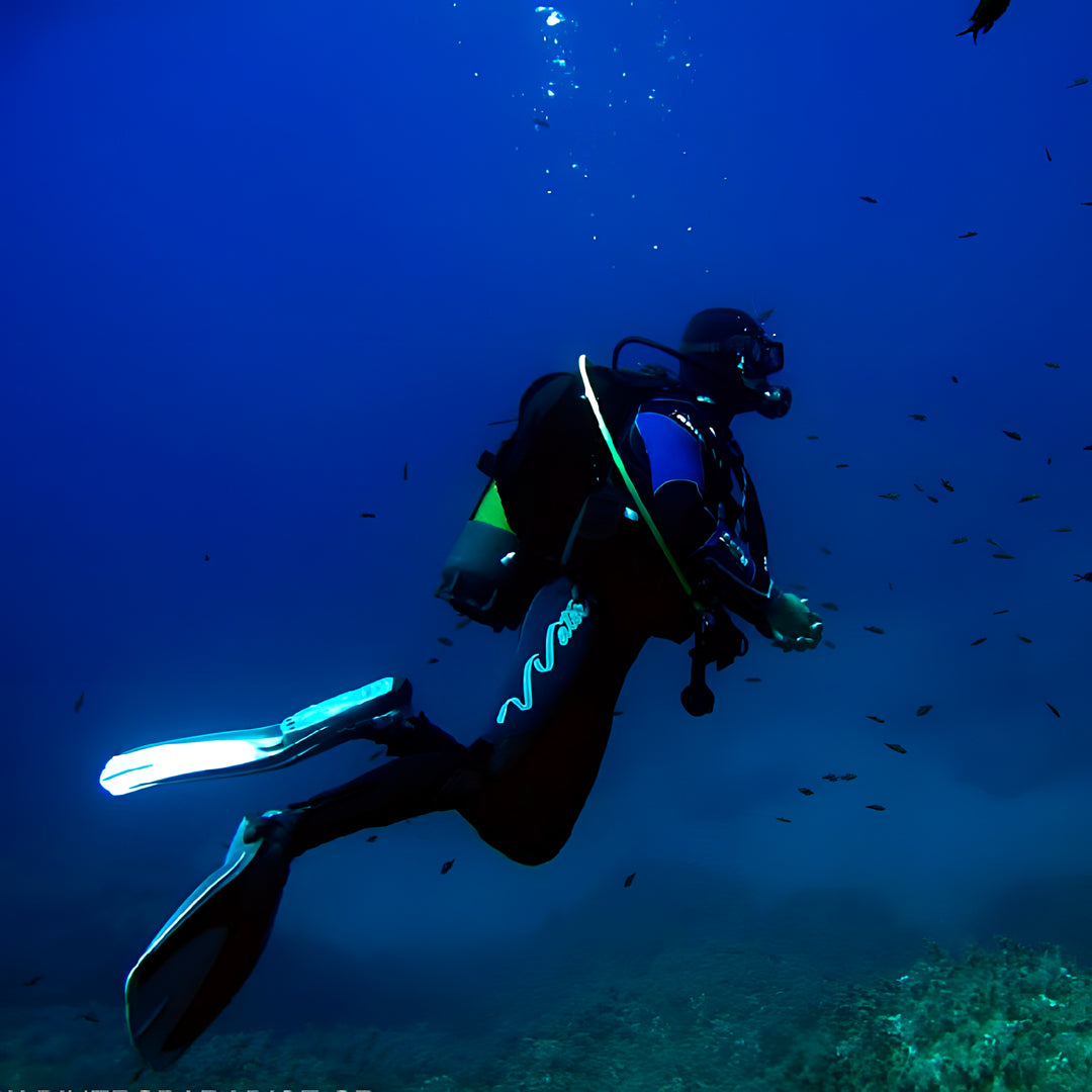 Zakynthos Escorted Fun Dive