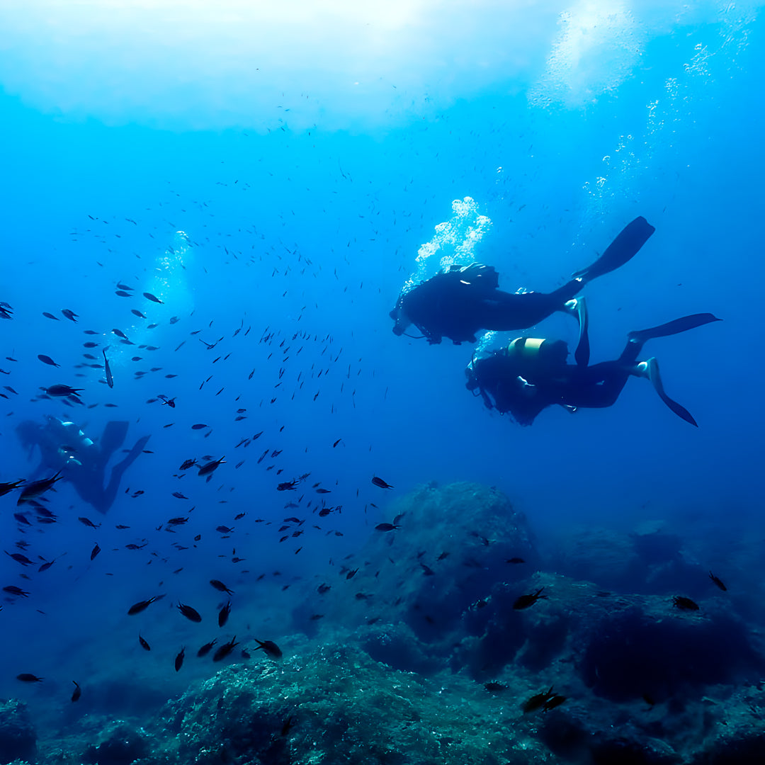 Zakynthos Escorted Fun Dive