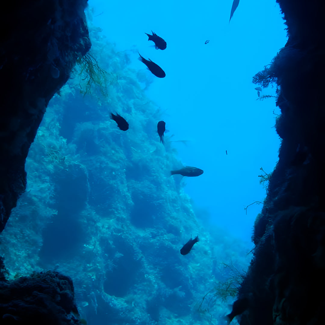 PADI Open Water Diver Course in Zakynthos