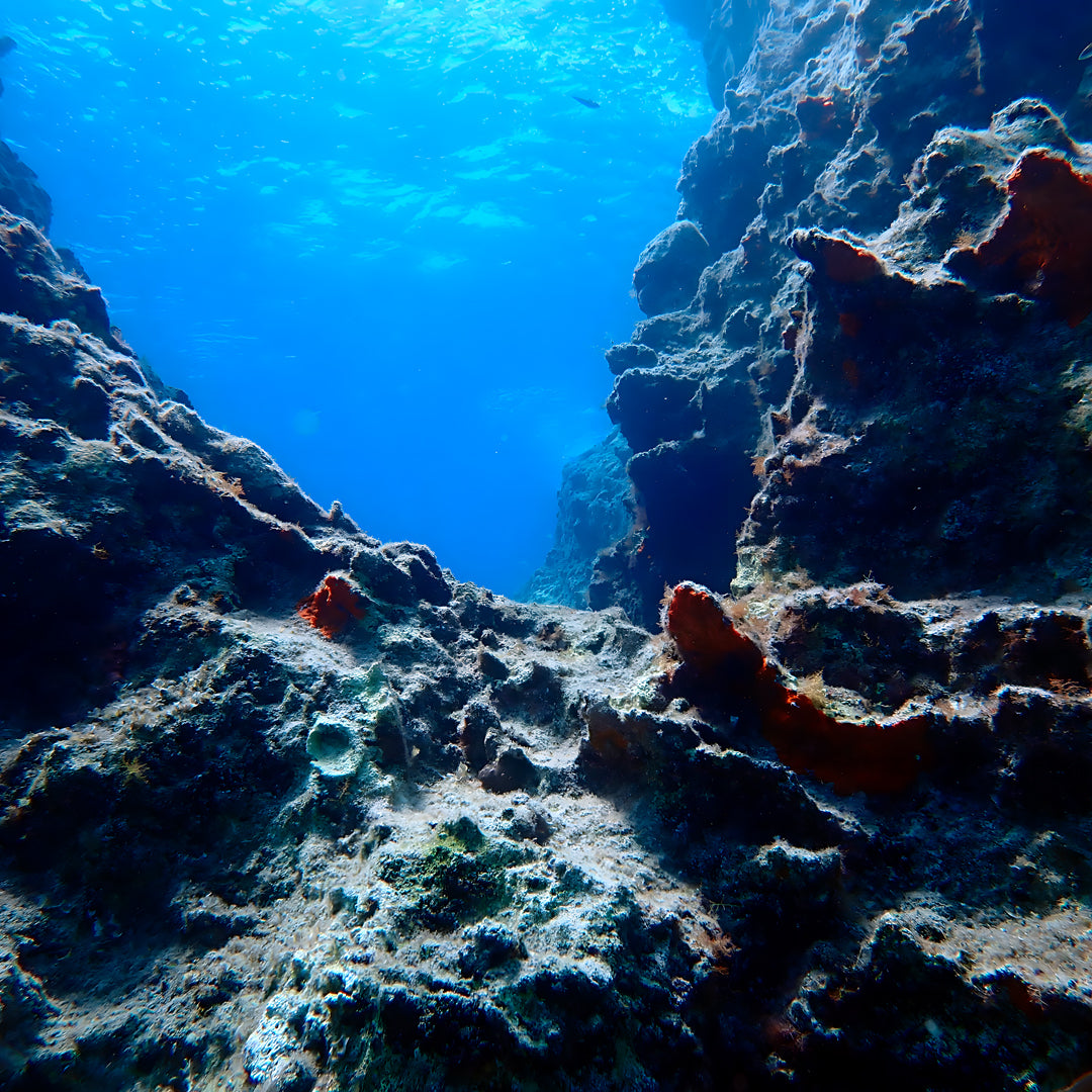 Zakynthos Escorted Fun Dive
