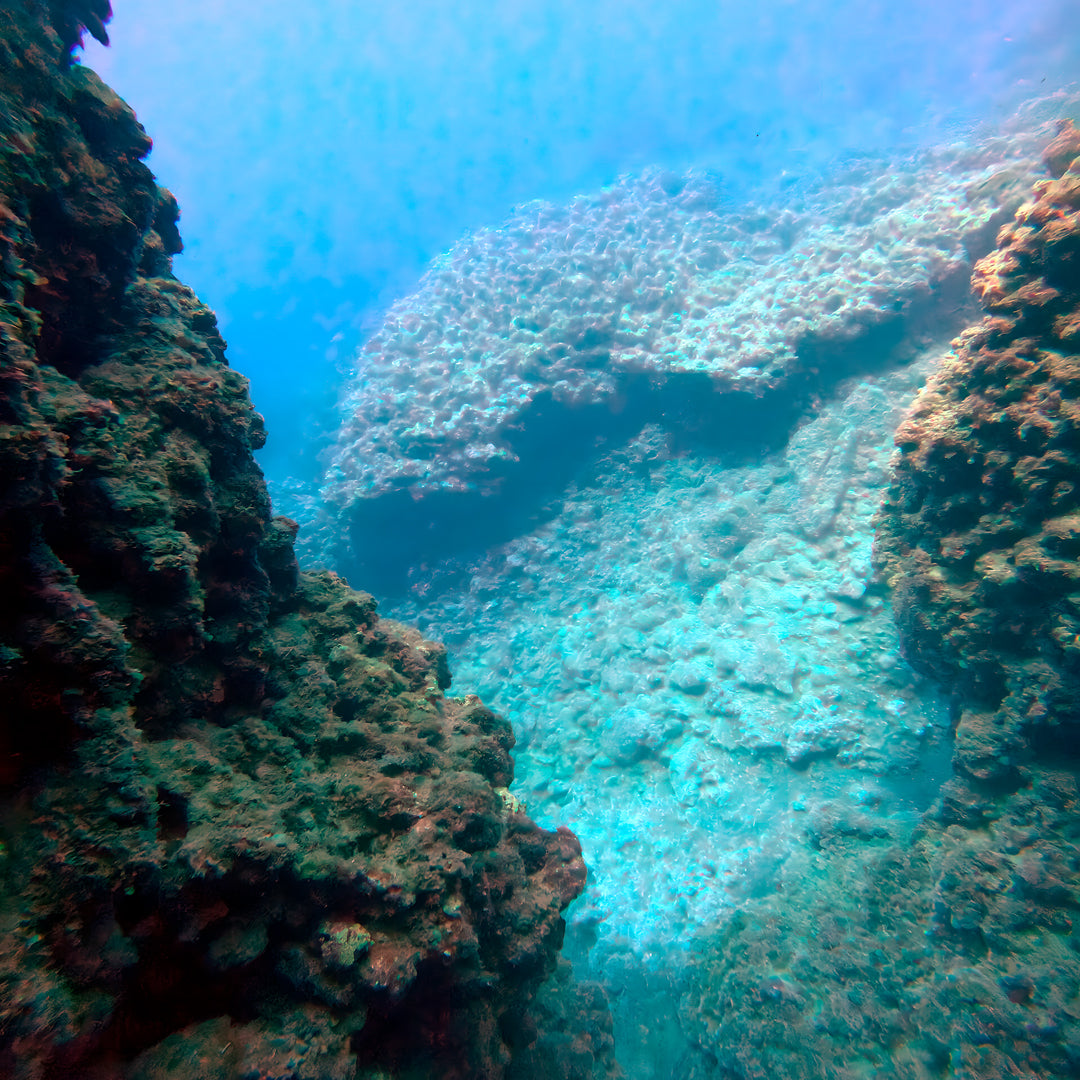 Curso de Divemaster