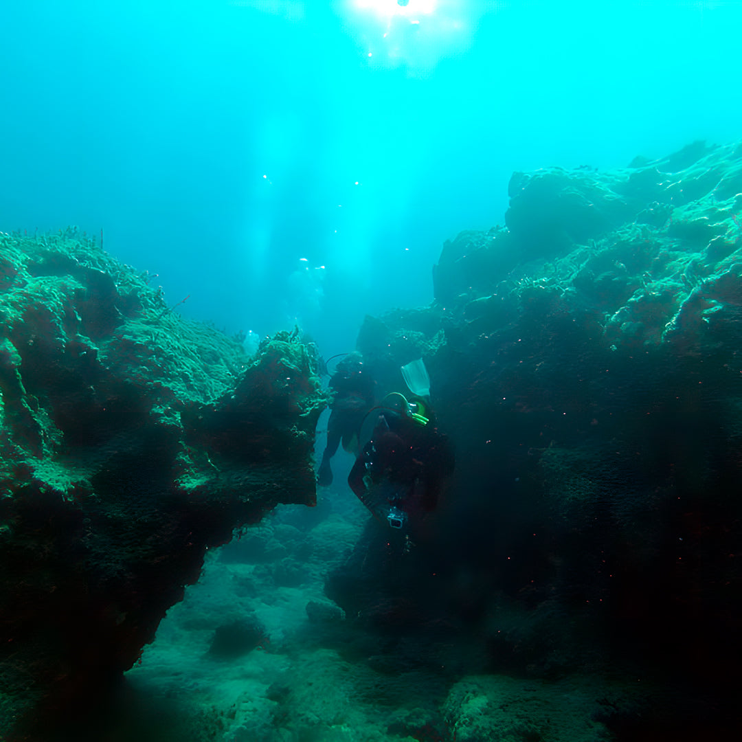 Curso de Divemaster