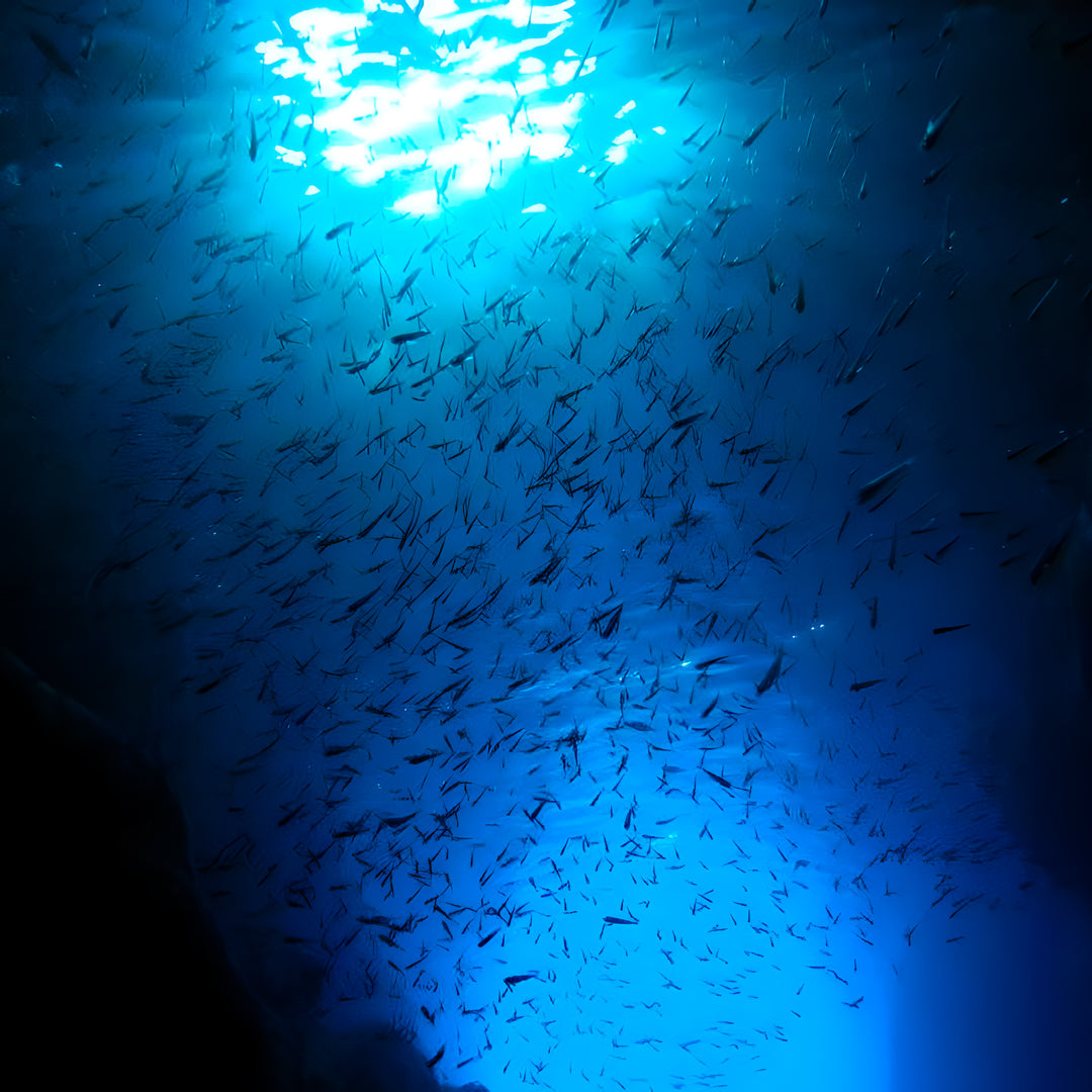 Bautismo de buceo - Zante