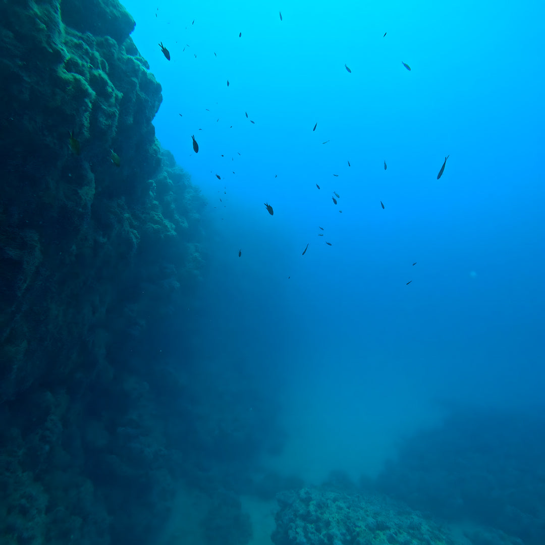 Zakynthos Escorted Fun Dive