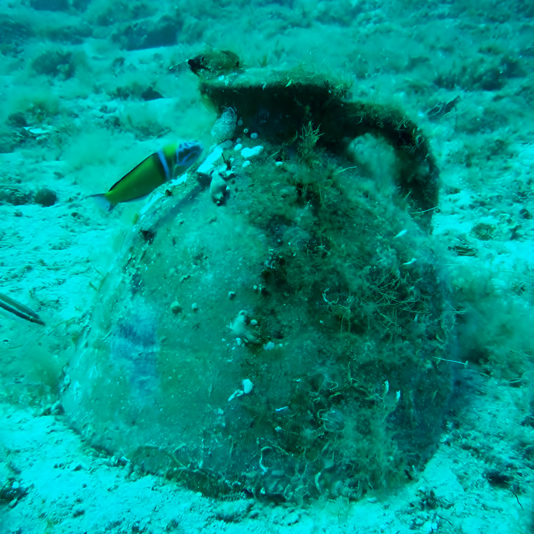 Zakynthos Escorted Fun Dive
