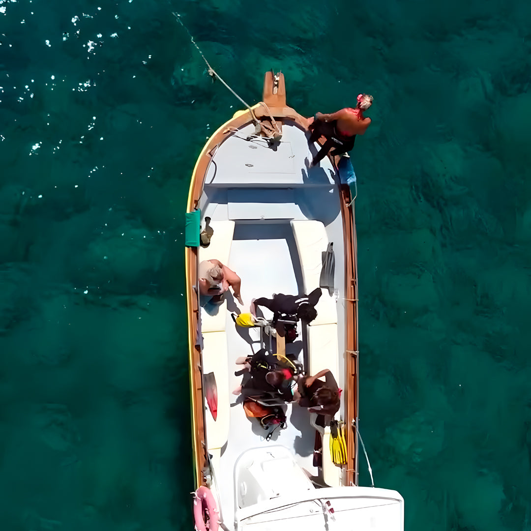 Curso de Divemaster