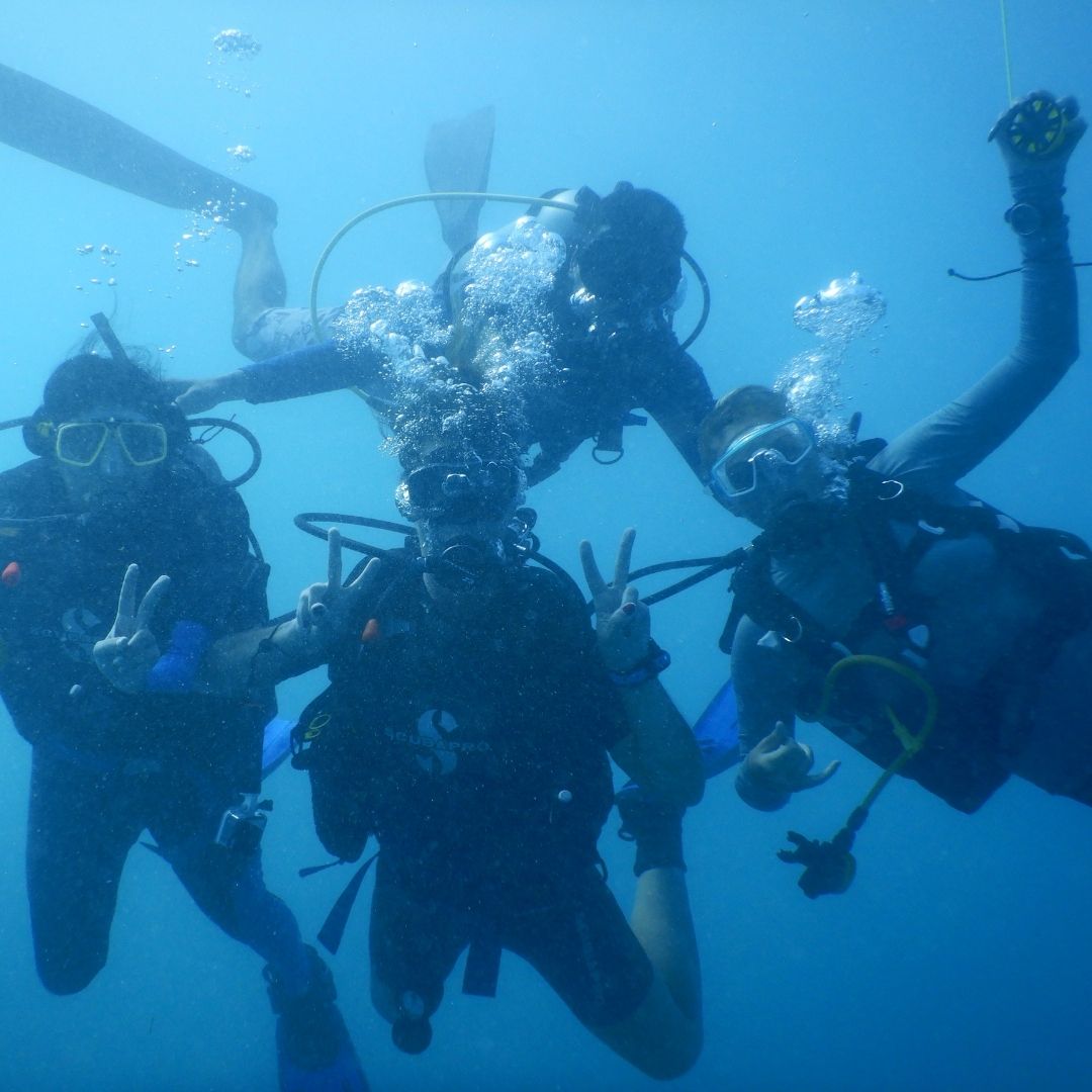 Shark & Ray Wreck Dive Scuba Diving Weekend Diverseaty Tours