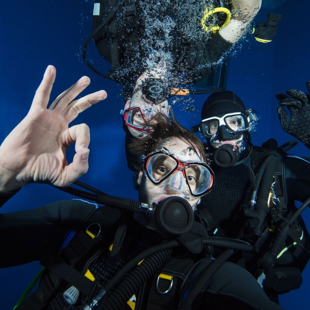 Shark & Ray Wreck Dive Scuba Diving Weekend Diverseaty Tours