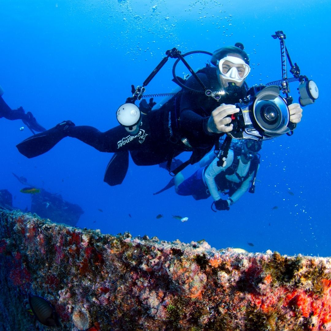 Shark & Ray Wreck Dive Scuba Diving Weekend Diverseaty Tours