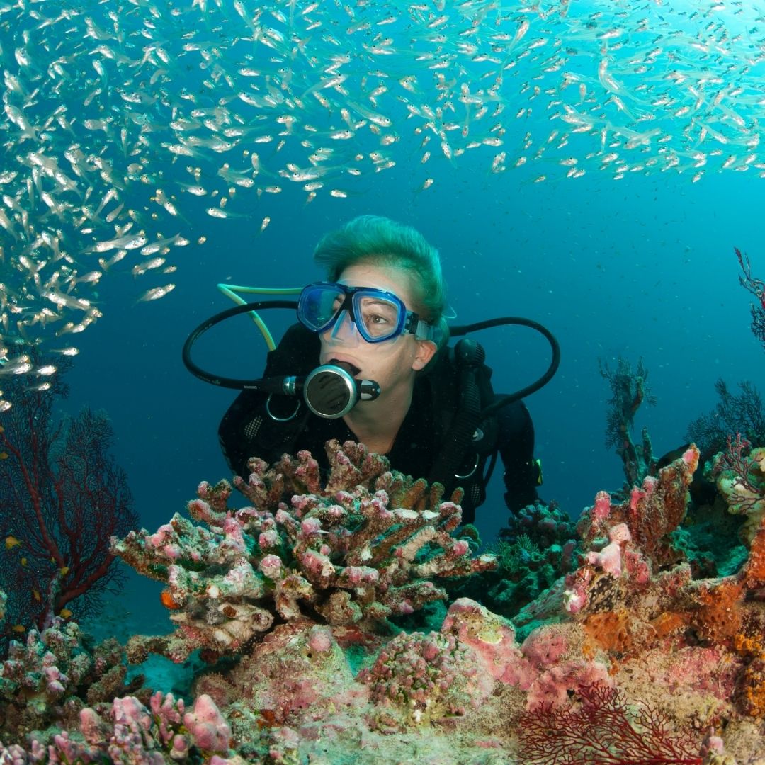 Shark & Ray Wreck Dive Scuba Diving Weekend Diverseaty Tours