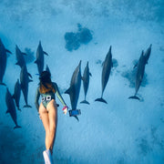 Red Sea Egypt Diving Liveaboard