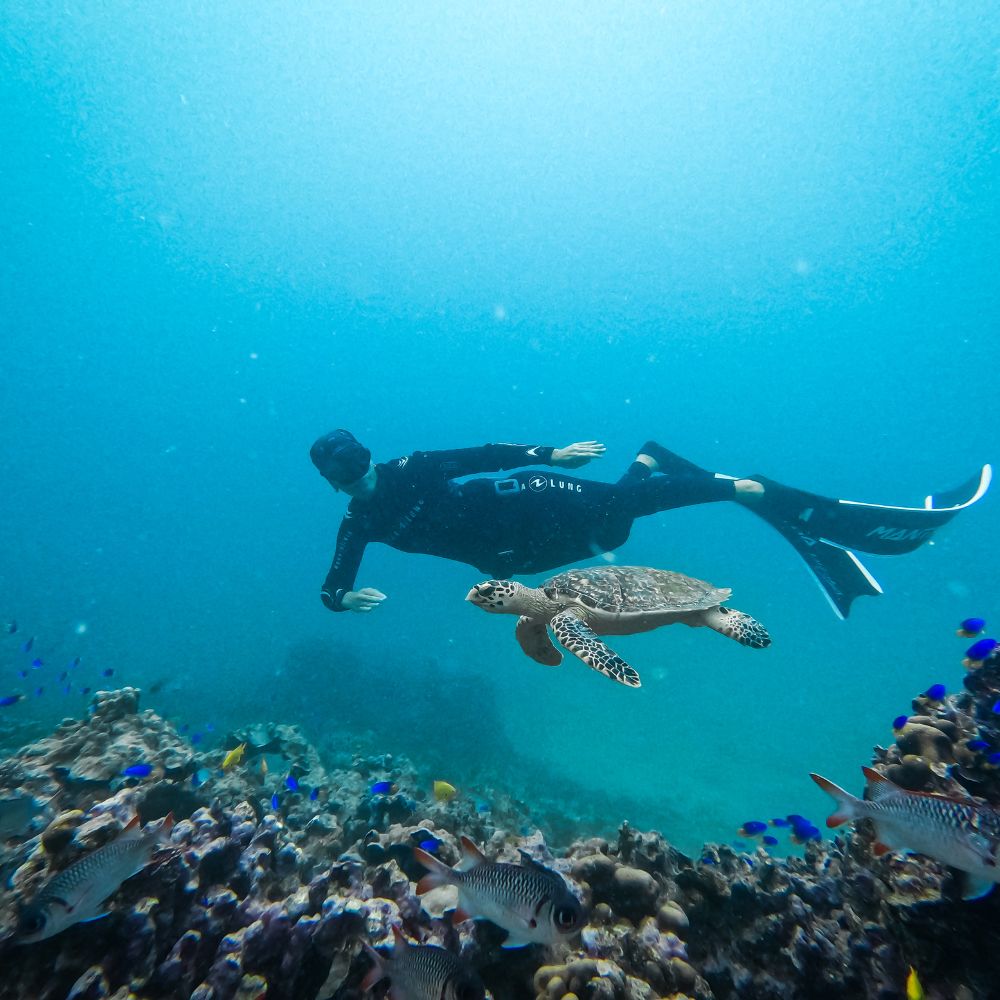 Discover Freediving Course