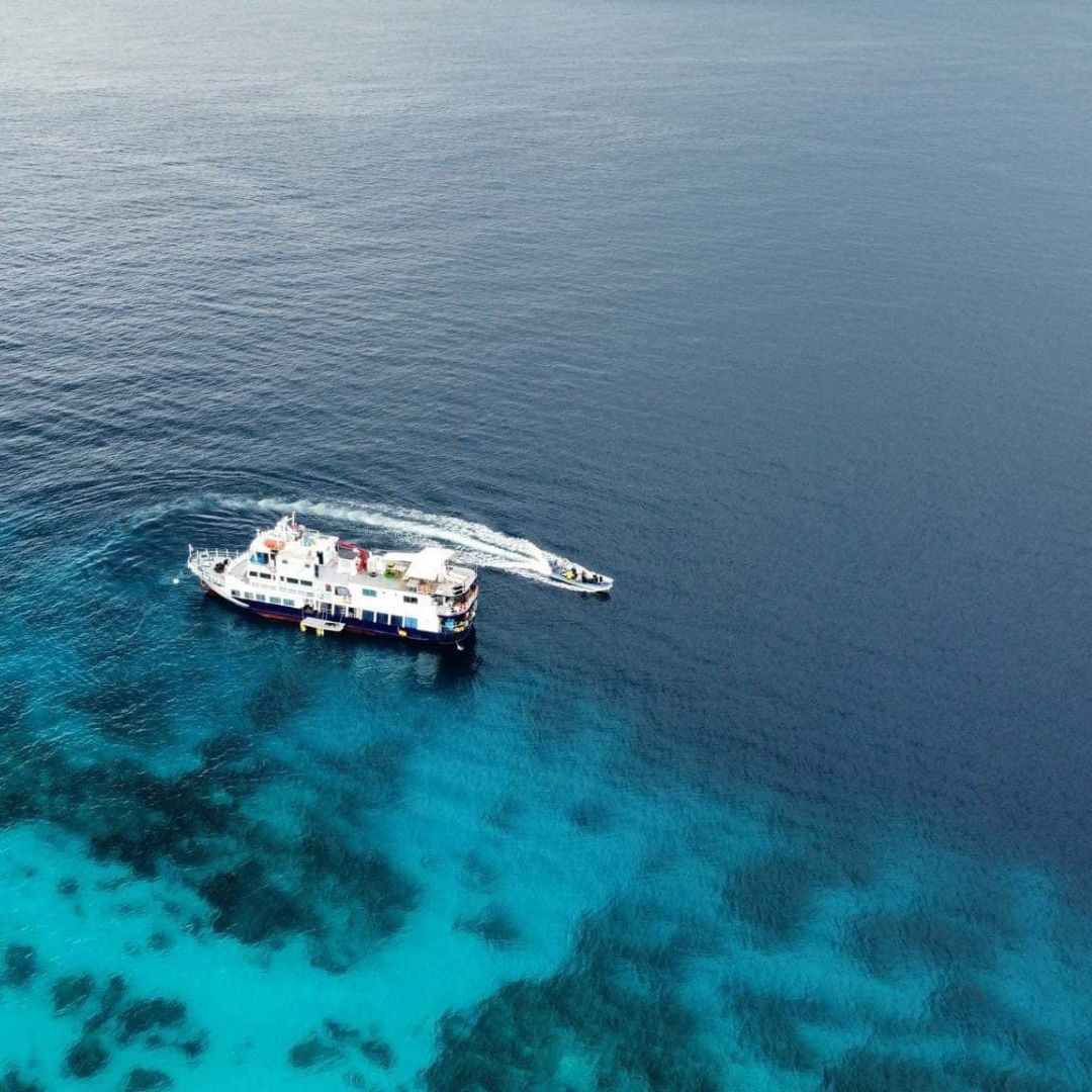 Tubbataha Adventure Liveaboard