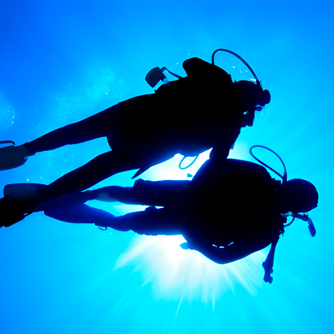 Komodo Paradise Fun Dive