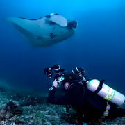 Komodo Paradise Fun Dive