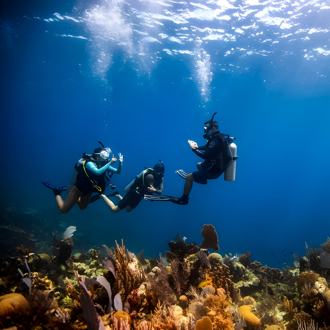 Zero to Hero PADI Divemaster Course in Komodo Islands