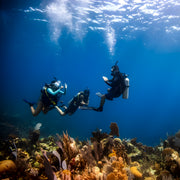 Zero to Hero PADI Divemaster Course in Komodo Islands