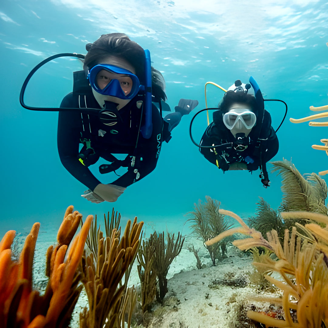 Komodo Islands PADI Open Water Course