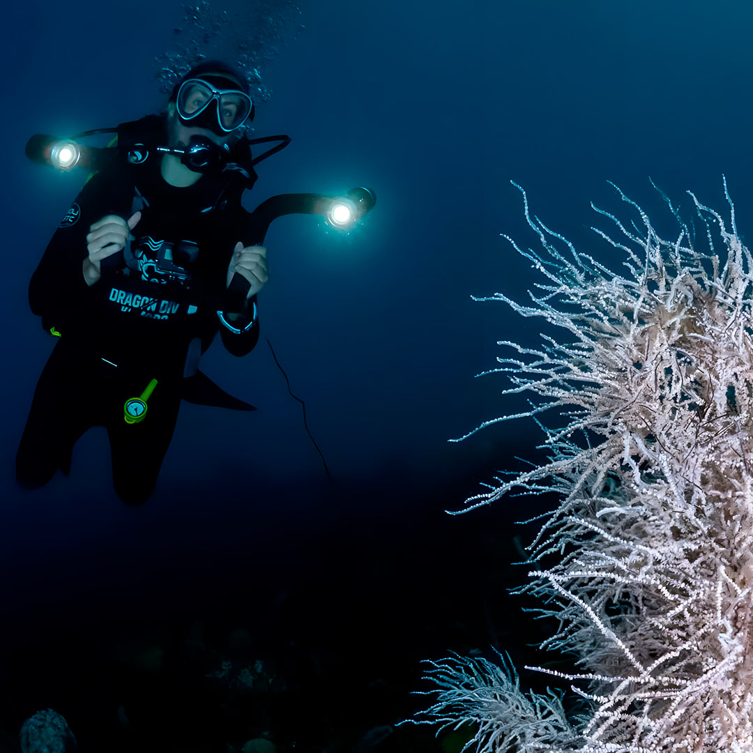 Zero to Hero PADI Divemaster Course in Komodo Islands