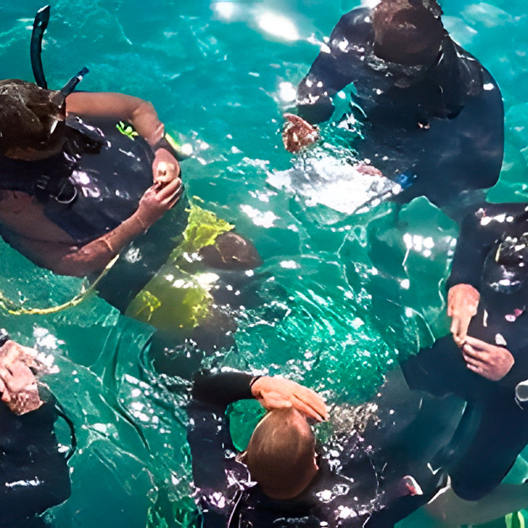 Komodo Islands Open Water and Advanced Scuba Diver Course Combo