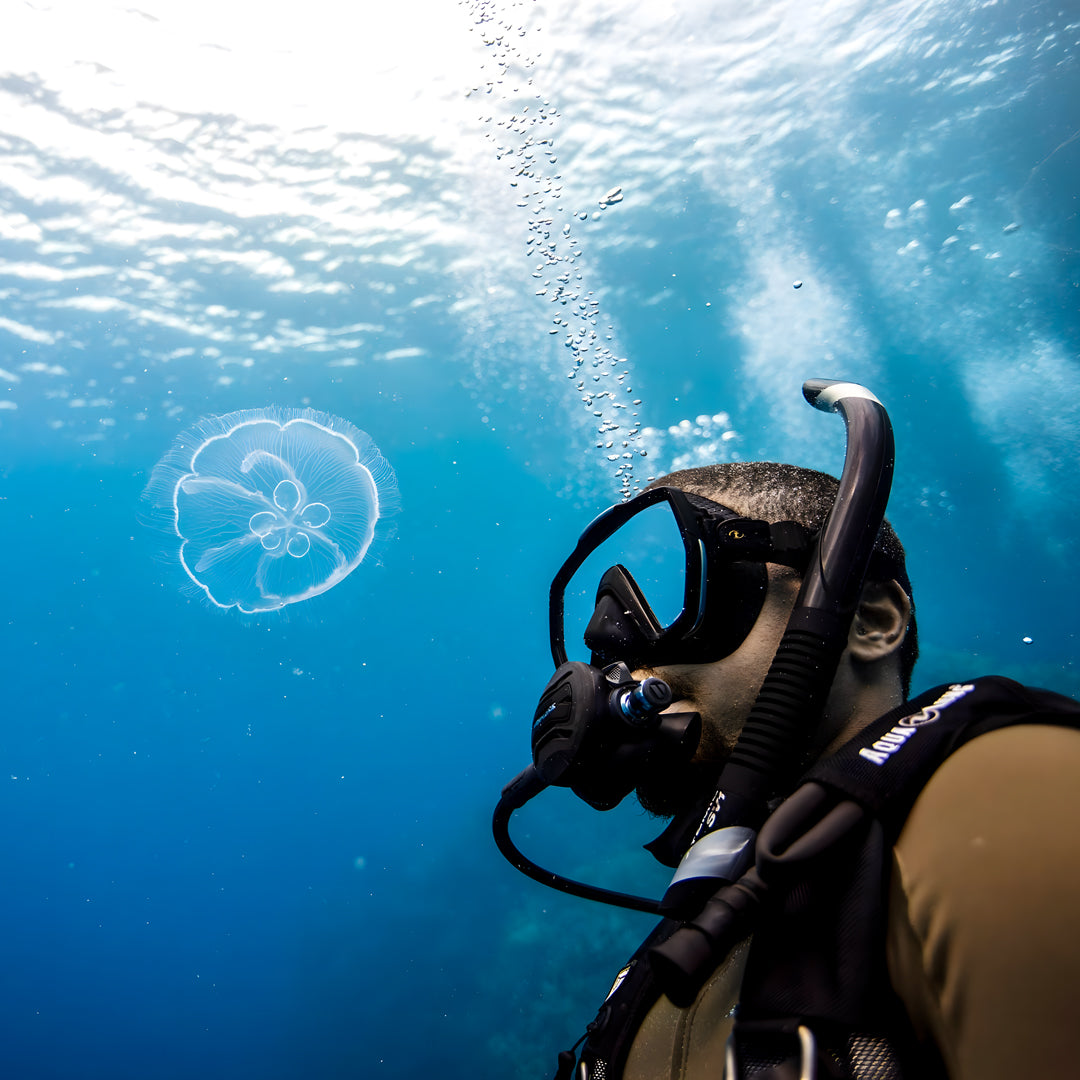 Learn Scuba Diving in Komodo Islands