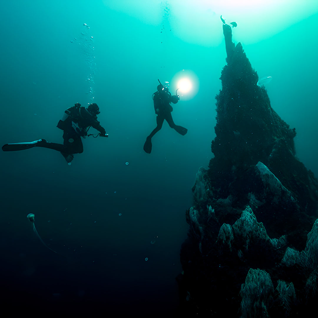 Zero to Hero PADI Divemaster Course in Komodo Islands