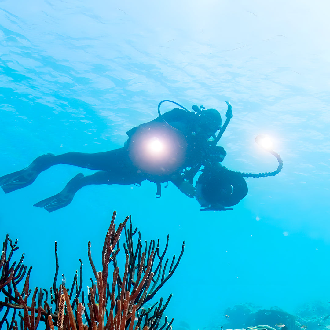 Komodo Paradise Fun Dive