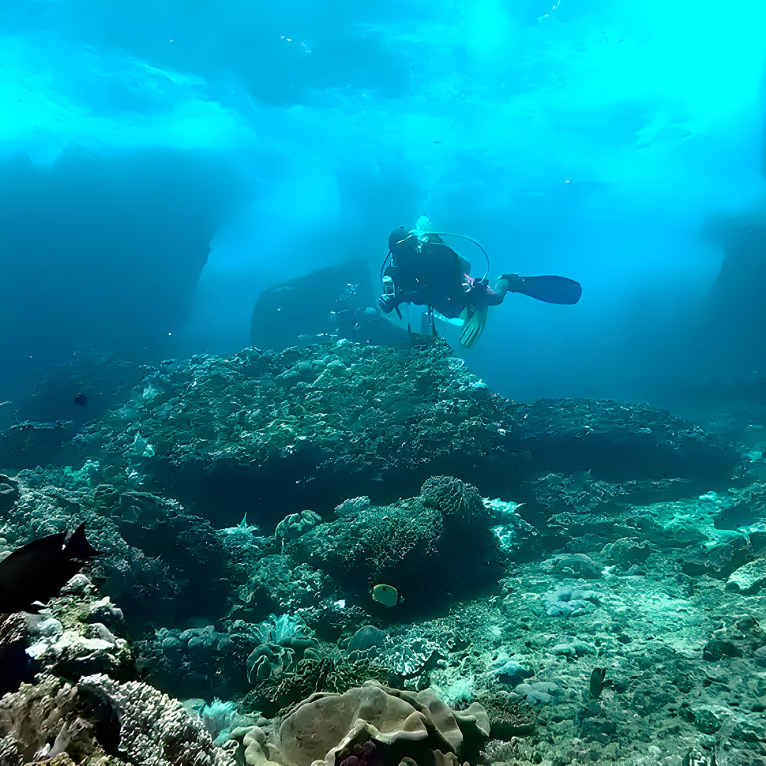Komodo Islands Open Water and Advanced Scuba Diver Course Combo