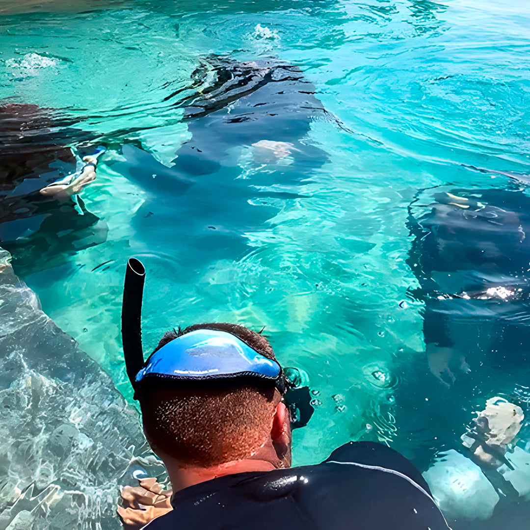 Zero to Hero PADI Divemaster Course in Komodo Islands