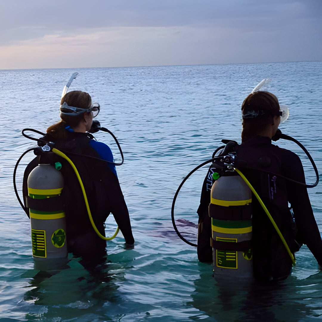 Zero to Hero PADI Divemaster Course in Komodo Islands