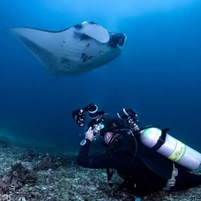 Komodo Paradise Fun Dive