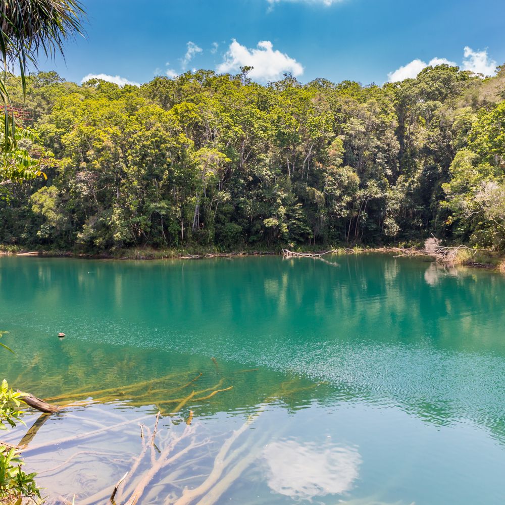 Freediving Instructor Course