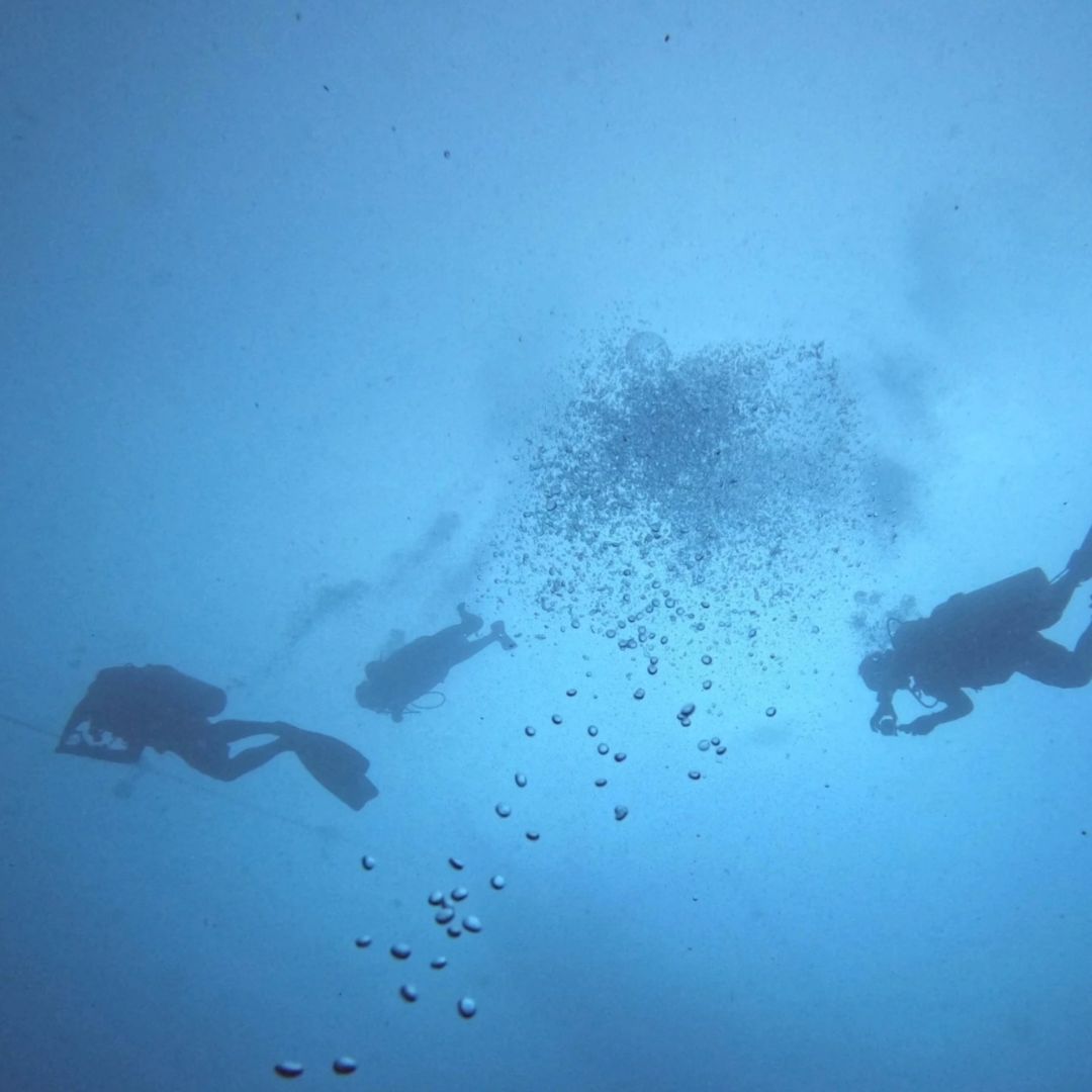 PADI Open Water Diver Course